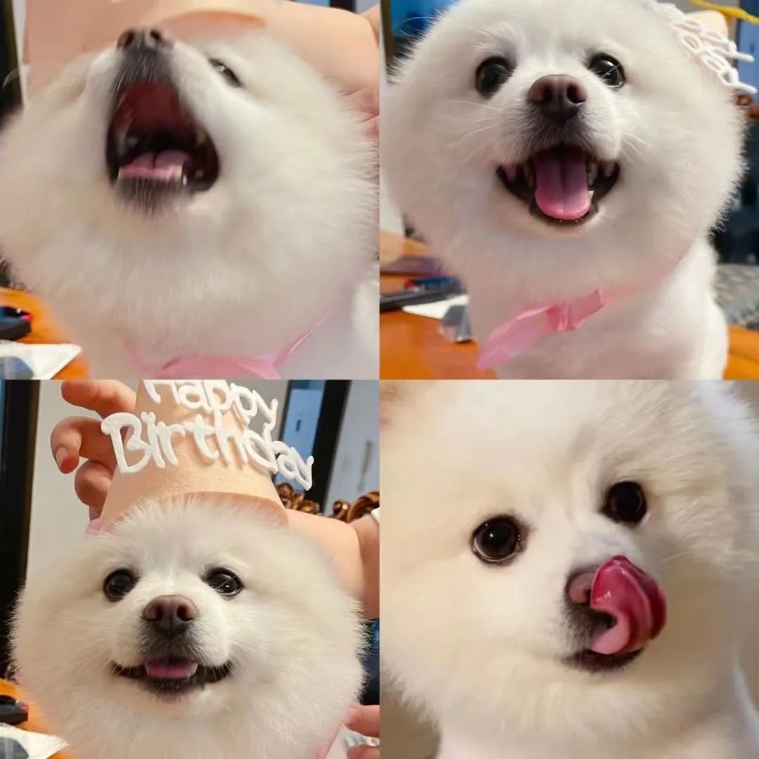 1c3e4a833420279b61a54a0b38b8a2f7.jpg 1c3e4a833420279b61a54a0b38b8a2f7.jpg